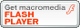 Get!! Macromedia Flash Plugin. also this is free!!