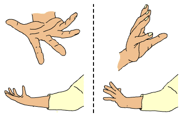 転換した時の手の形の図